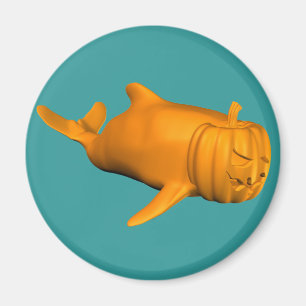 Imán Orcinus orca divertida