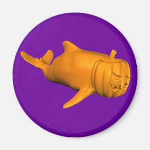 Imán Orcinus orca divertida