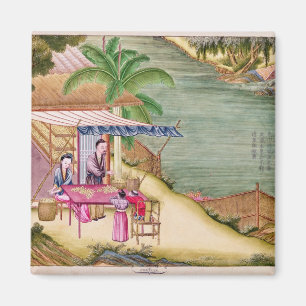 Imán Ordenar los capullos