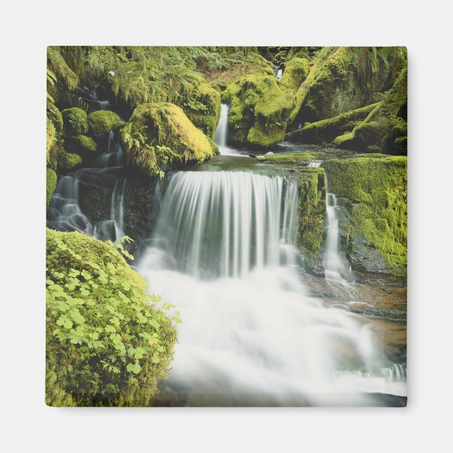 Imán Oregón, Cascada en el bosque nacional Willamette (Frente)