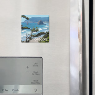 Imán Oregon Coast Scenic Seascape