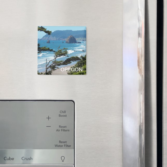 Imán Oregon Coast Scenic Seascape (In situ (nevera))