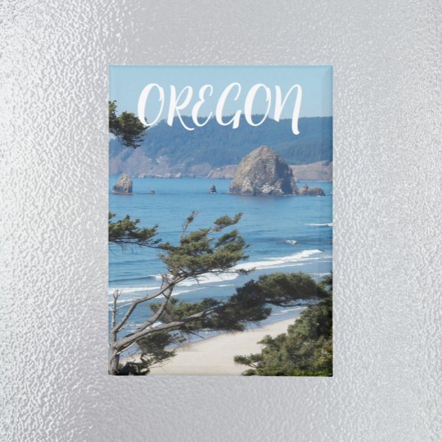 Imán Oregon Coast Scenic Seascape (In Situ Fridge)