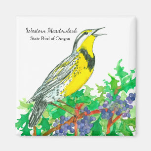 Imán Oregon Grape Meadowlark Agua Botánica
