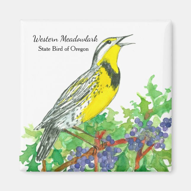 Imán Oregon Grape Meadowlark Agua Botánica (Frente)