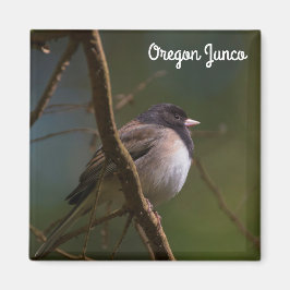 Imán Oregon Junco