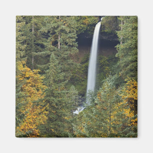 Imán Oregón, Parque Estatal Silver Falls, North Falls