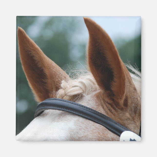 Imán orejas (Frente)