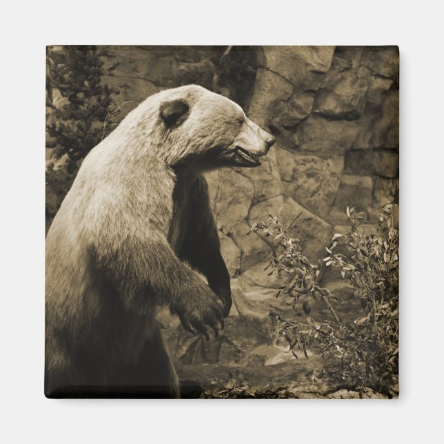 Imán Orgullo (Frente)