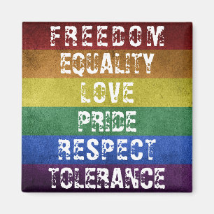 Imán Orgullo LGBT Bandera moderna de rayas arco iris