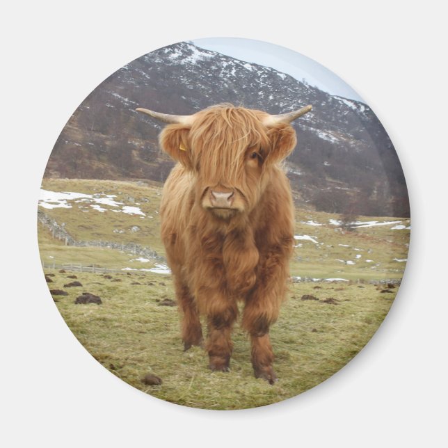 Imán ¡Orgulloso de ser escocés! (Frente)