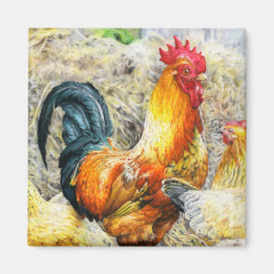 Imán Orgulloso Rooster