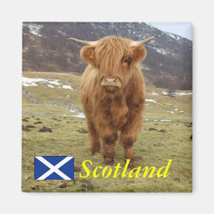 Imán ¡Orgulloso ser escocés!