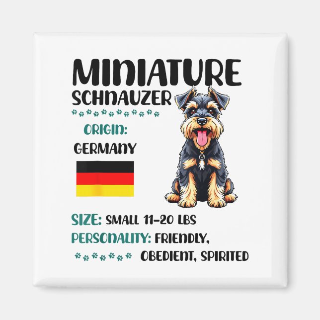 Imán Origen del Schnauzer Miniatura Divertido Mini Schn (Frente)