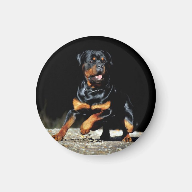 Imán Original Rottweiler Magnet (Frente)