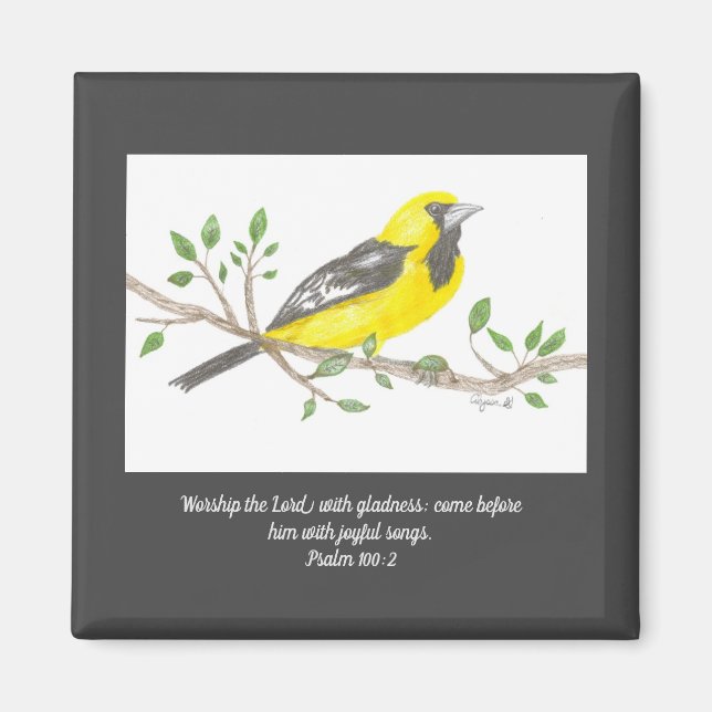 Imán Oriole Magnet (Frente)