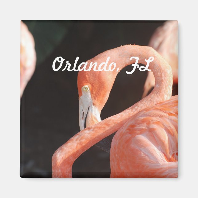 Imán Orlando (Frente)