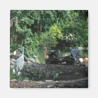 Imán Orlando Florida Magnet