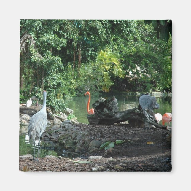 Imán Orlando Florida Magnet (Frente)