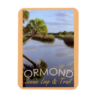 Imán Ormond Scene Loop y Trail