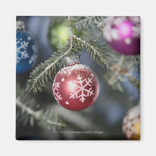 Imán Ornamentos en un árbol de navidad