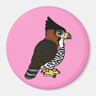 Imán Ornate Hawk-Eagle