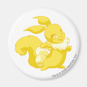 Imán Oro de Usul