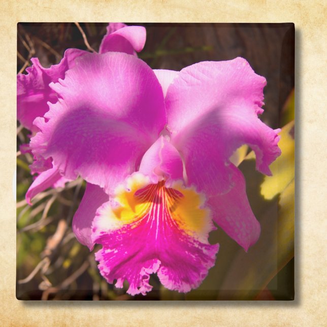 Imán Orquídea Cattleya Carmesí Rosa (Subido por el creador)