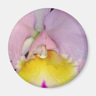 Imán Orquídea de primavera