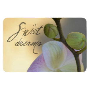 Imán Orquídea de Sogni D'oro (sueños dulces)