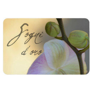 Imán Orquídea de Sogni D'oro (sueños dulces)
