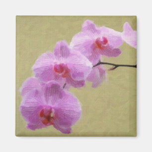 Imán Orquídea Falaenopsis