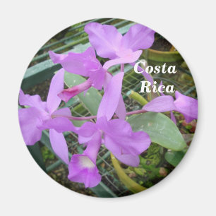 Imán Orquídea - Flor Nacional de Costa Rica