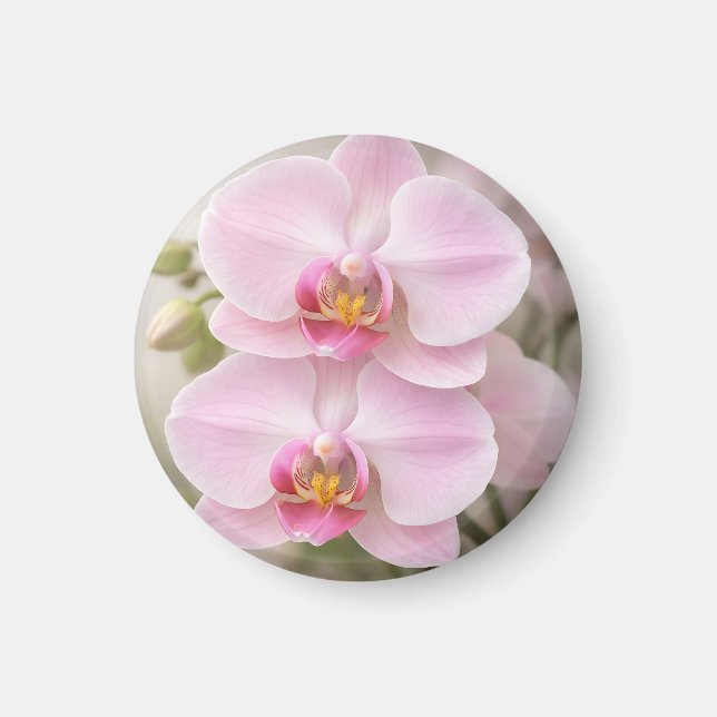Imán Orquídea Phalaenopsis Rosa Suave (Frente)