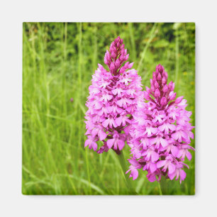Imán Orquídea Piramidal Magnet