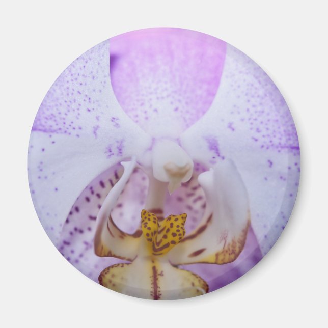 Imán Orquídea rosa (Frente)