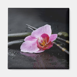Imán Orquídea zen negra