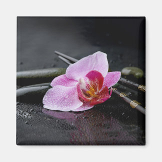 Imán Orquídea zen negra