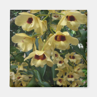 Imán Orquídeas Amarillas y Marrones Elegante Floral