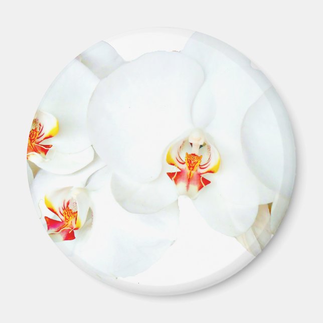 Imán Orquídeas Amor_ (Frente)