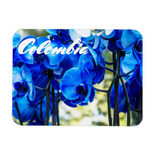 Imán Orquídeas azules