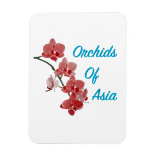 Imán Orquídeas de Asia Spa de Día