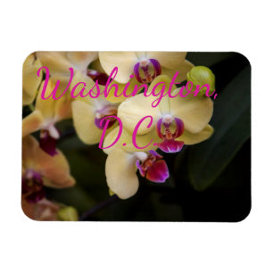 Imán Orquídeas de color rosa y amarillo, Washington, D.