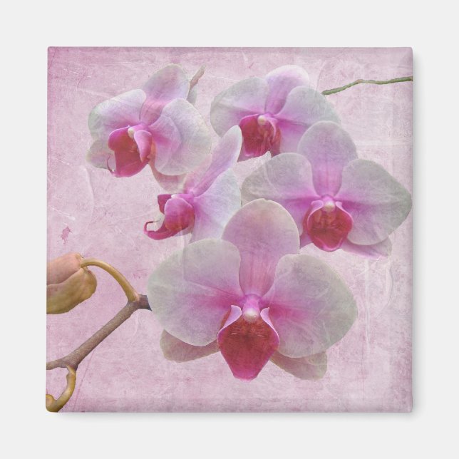 Imán Orquídeas De Madera Rosa - Falenopsis (Frente)