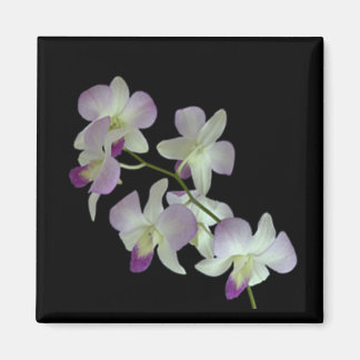 Imán Orquídeas en negro