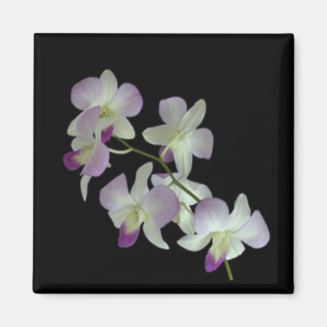 Imán Orquídeas en negro (Frente)