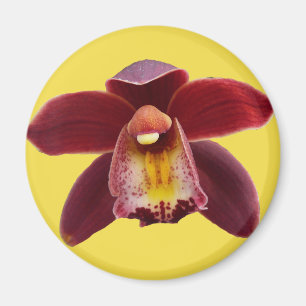 Imán Orquídeas Maroon I Hermosa Floral Roja