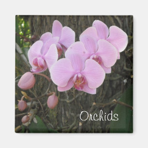 Imán Orquídeas románticas