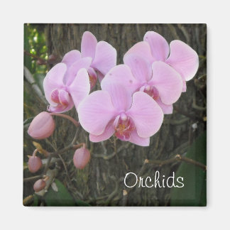 Imán Orquídeas románticas