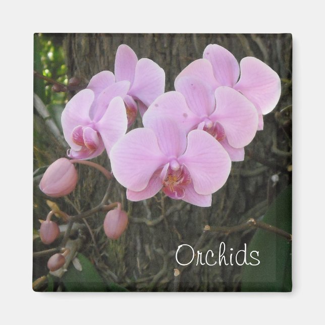 Imán Orquídeas románticas (Frente)
